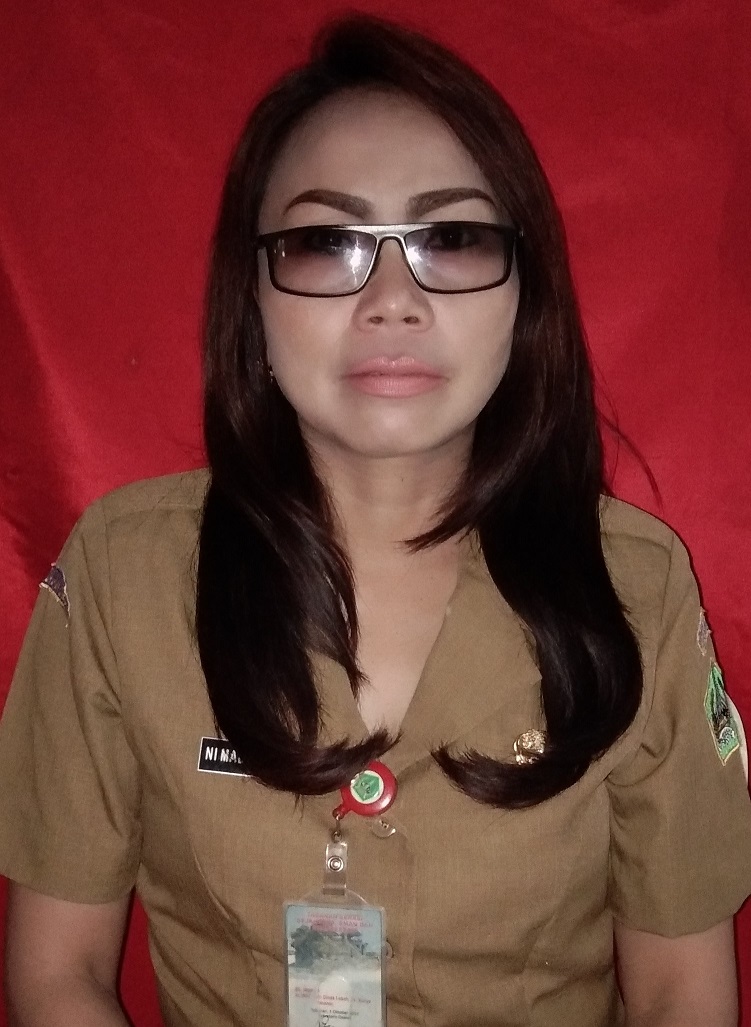 NI MADE SUARMI NIP.197008152007012033