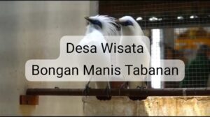 WhatsApp Image 2023-12-01 at 19.12.19 (1)