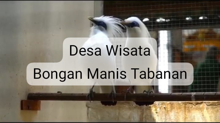 WhatsApp Image 2023-12-01 at 19.12.19 (1)