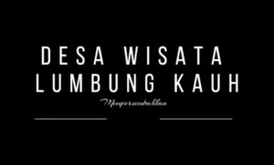 WhatsApp Image 2023-12-01 at 22.51.03