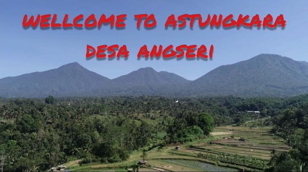 WhatsApp Image 2023-12-03 at 17.11.54